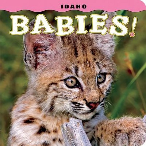 Idaho Babies!, Steph Lehmann (Author)