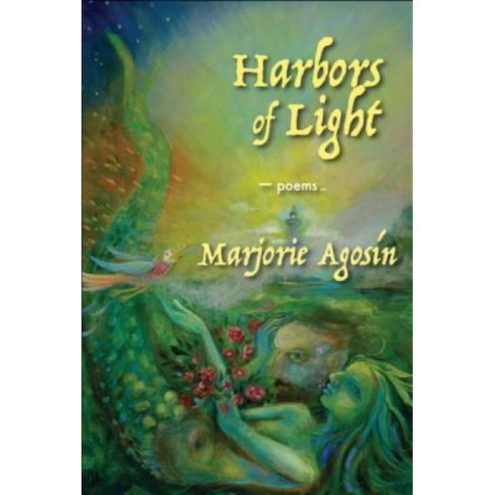 Harbors of Light, Marjorie Agosin (Author)