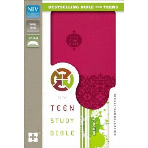 NIV Teen Study Bible, Lawrence O. Richards (Editor)