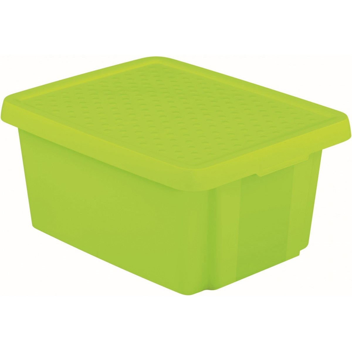 Cutie de depozitare Curver Dostawca, 16 L, Verde