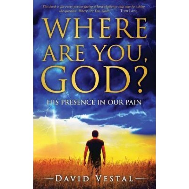 Where Are You, God?: His Presence in Our Pain, David Vestal (Author)