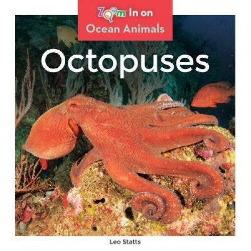 Octopuses, Leo Statts (Author)