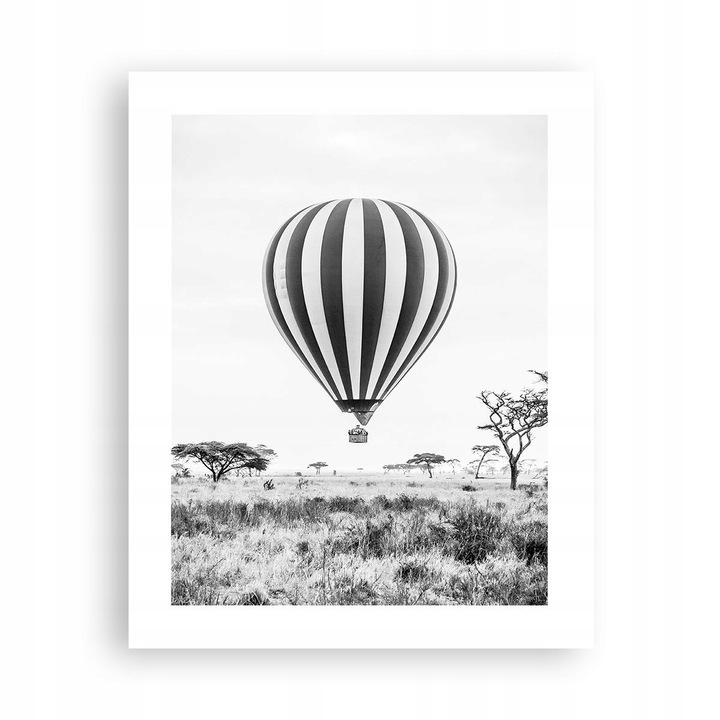Tablou Poster Balon Alb-Negru 40x50cm, Decor Perete Premium