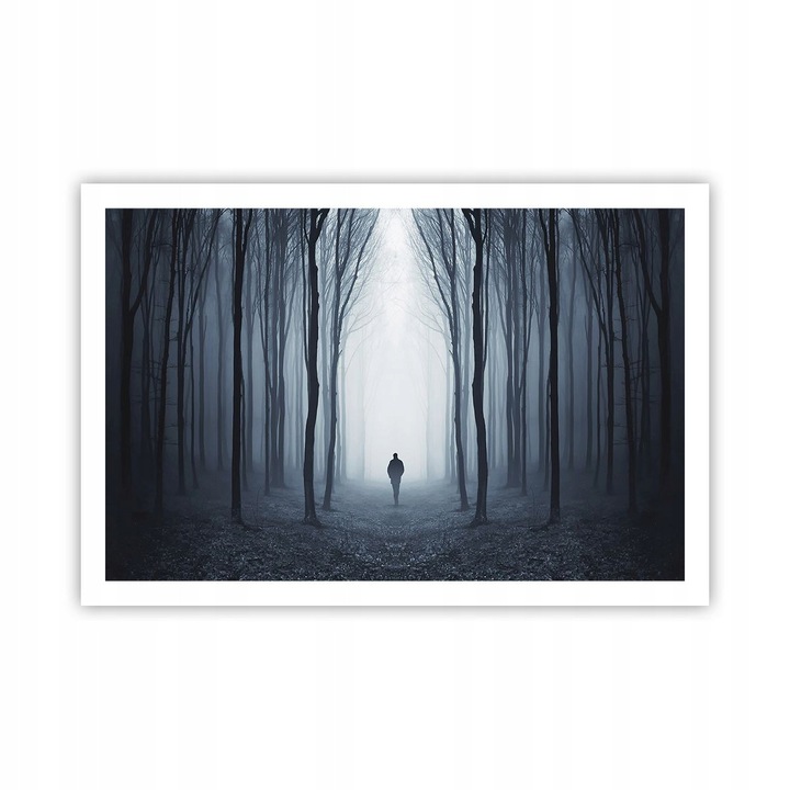 Tablou Poster 91x61cm Padure Natura Om Premium, Decor Perete