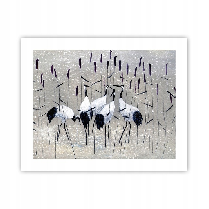 Poster Macara 50x40cm - Decorare de perete Premium