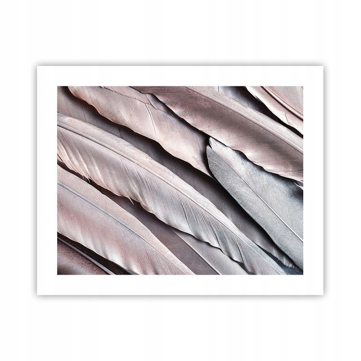 Tablou Poster Pene Pasare 50x40cm Decor Modern Salon