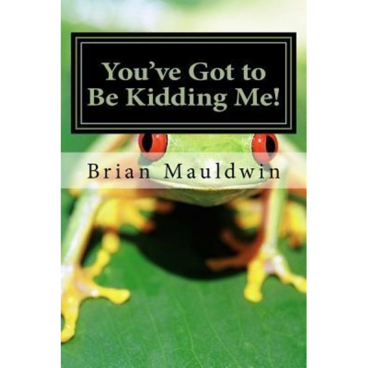 You've Got to Be Kidding Me!: Real Stories from the World of a Human Resources Professional - Brian P. Mauldwin (Author)