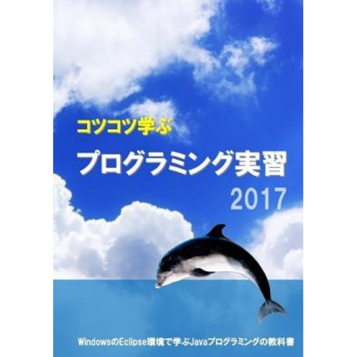 Study Steadily Java Programming Practice 2017, Masashi Emoto (Author)