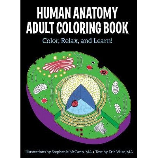 Human Anatomy Adult Coloring Book, Stephanie McCann (Author)