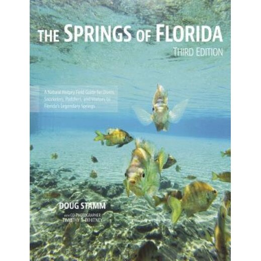 The Springs of Florida, Doug Stamm (Author)