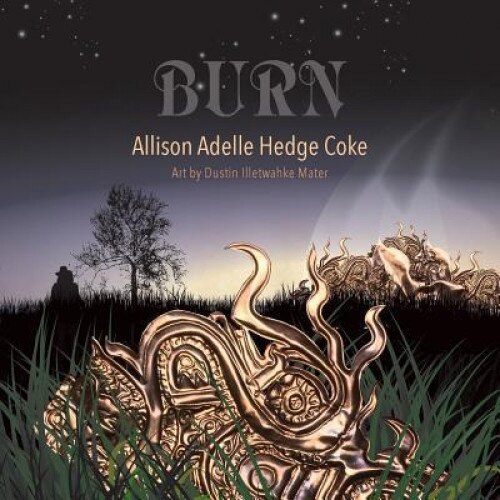Burn, Allison Adelle Hedge Coke (Author)