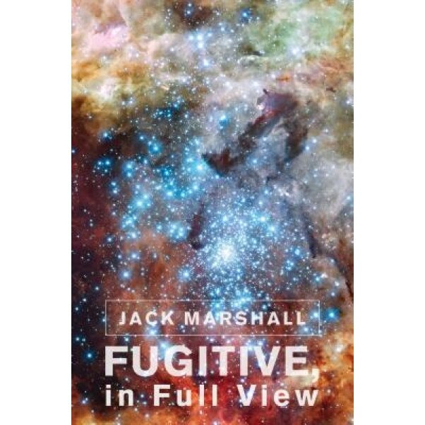 Fugitive, in Full View, Jack Marshall (Author)