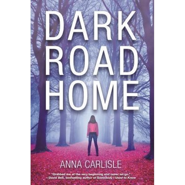 Dark Road Home: A Gin Sullivan Mystery, Anna Carlisle (Author)