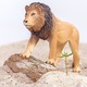 Set Animale Africane din 10 piese