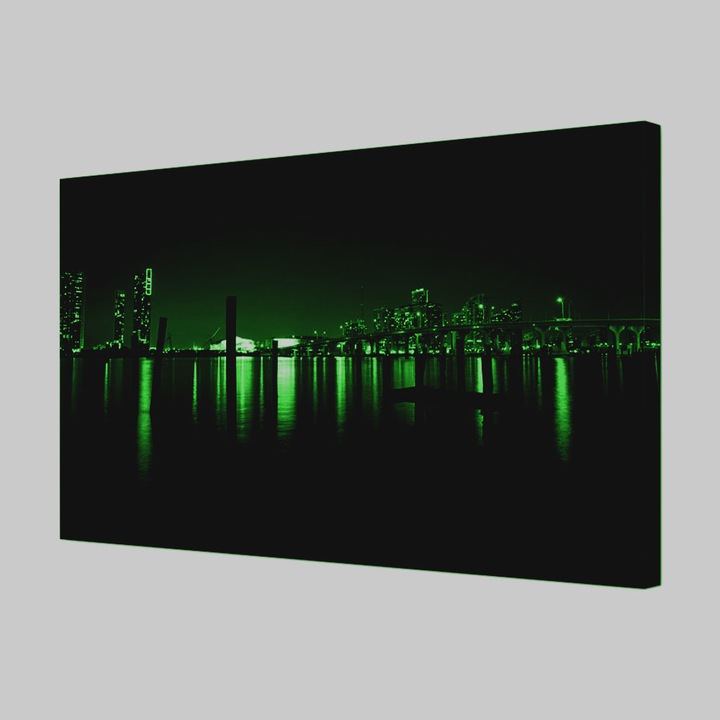Tablou VarioView MoonLight Fosforescent Luminos in Urban Orase Miami USA, 20 x 30 cm