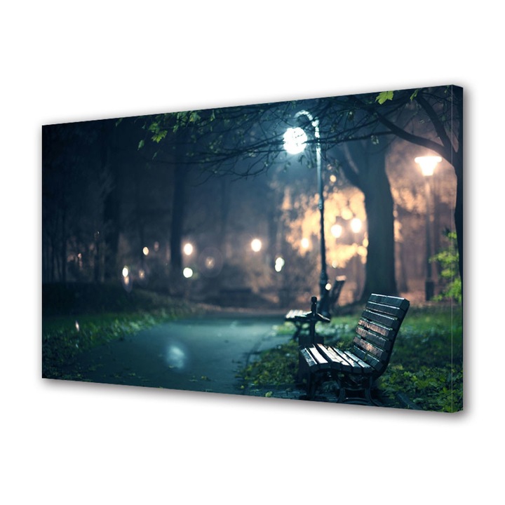 Tablou VarioView MoonLight Fosforescent Luminos in Urban Orase In parc, 60 x 90 cm