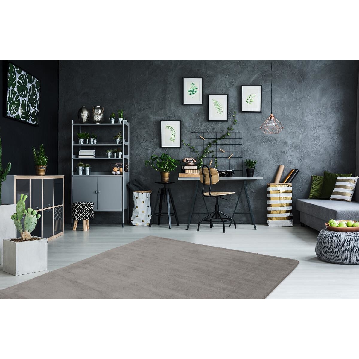 Covor Decorino C-255211 Unicolor Vascoza 200x290 cm