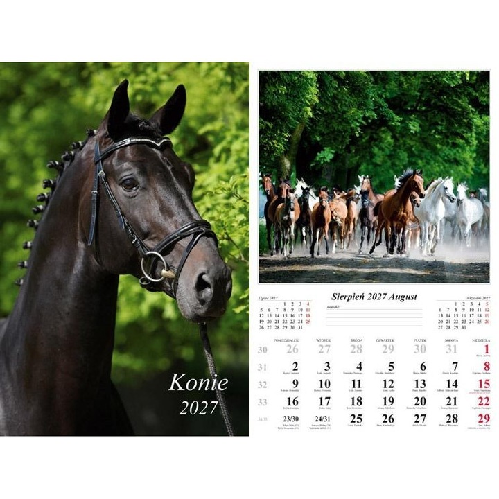 Calendar de perete Radwan Cai 2027, multicolor, 32 x 48 cm