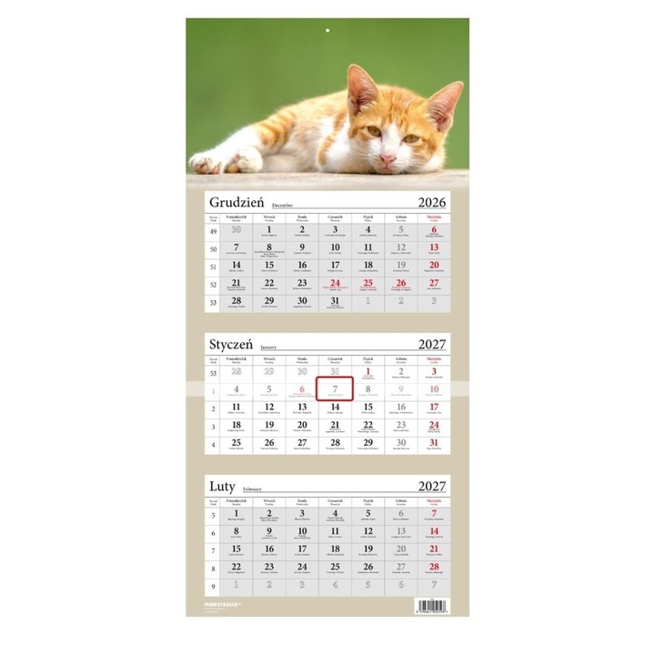 Calendar de perete Narcissus 2027, 3 luni pe pagina, cu pisica, multicolor, cod 801001