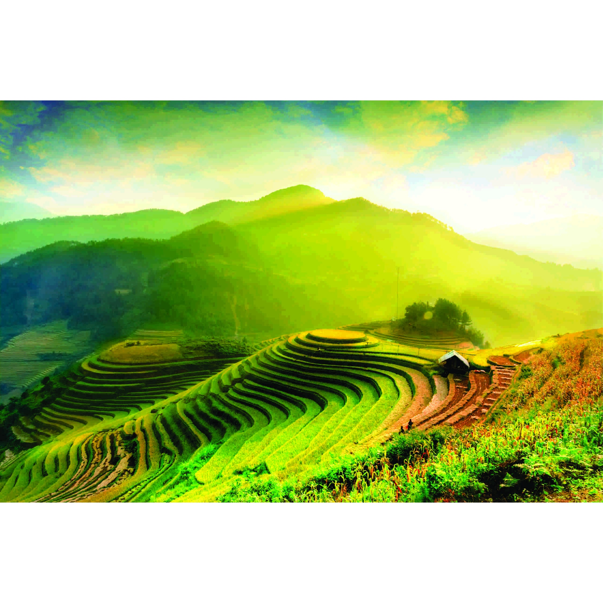 Fototapet Camp, 150x100 cm