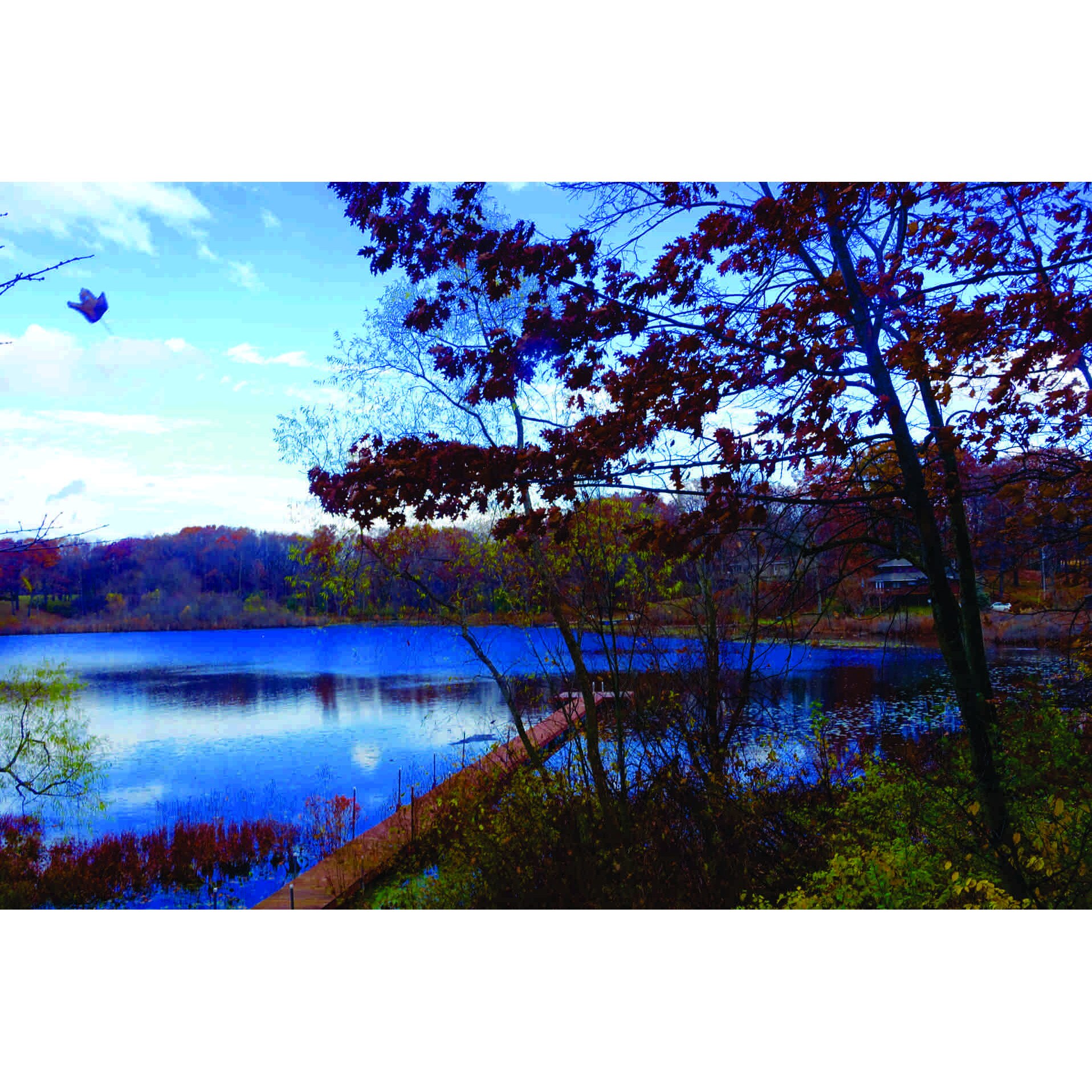 Fototapet Lac Toamna, 150x100 cm