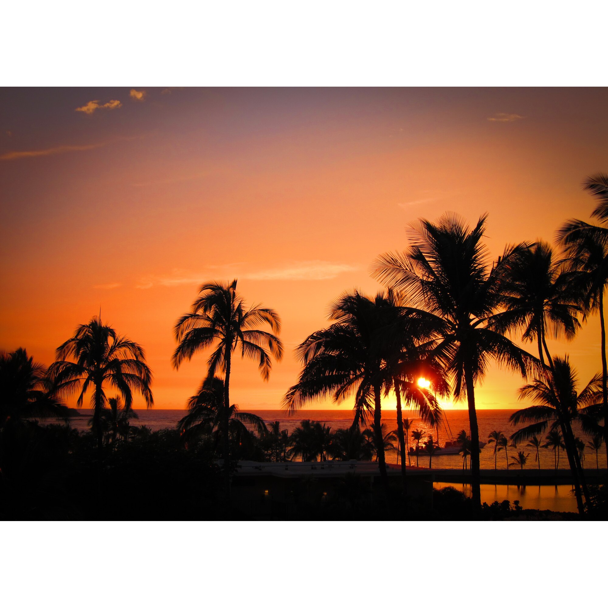 Fototapet Apus printre palmieri, 120 x 90 cm