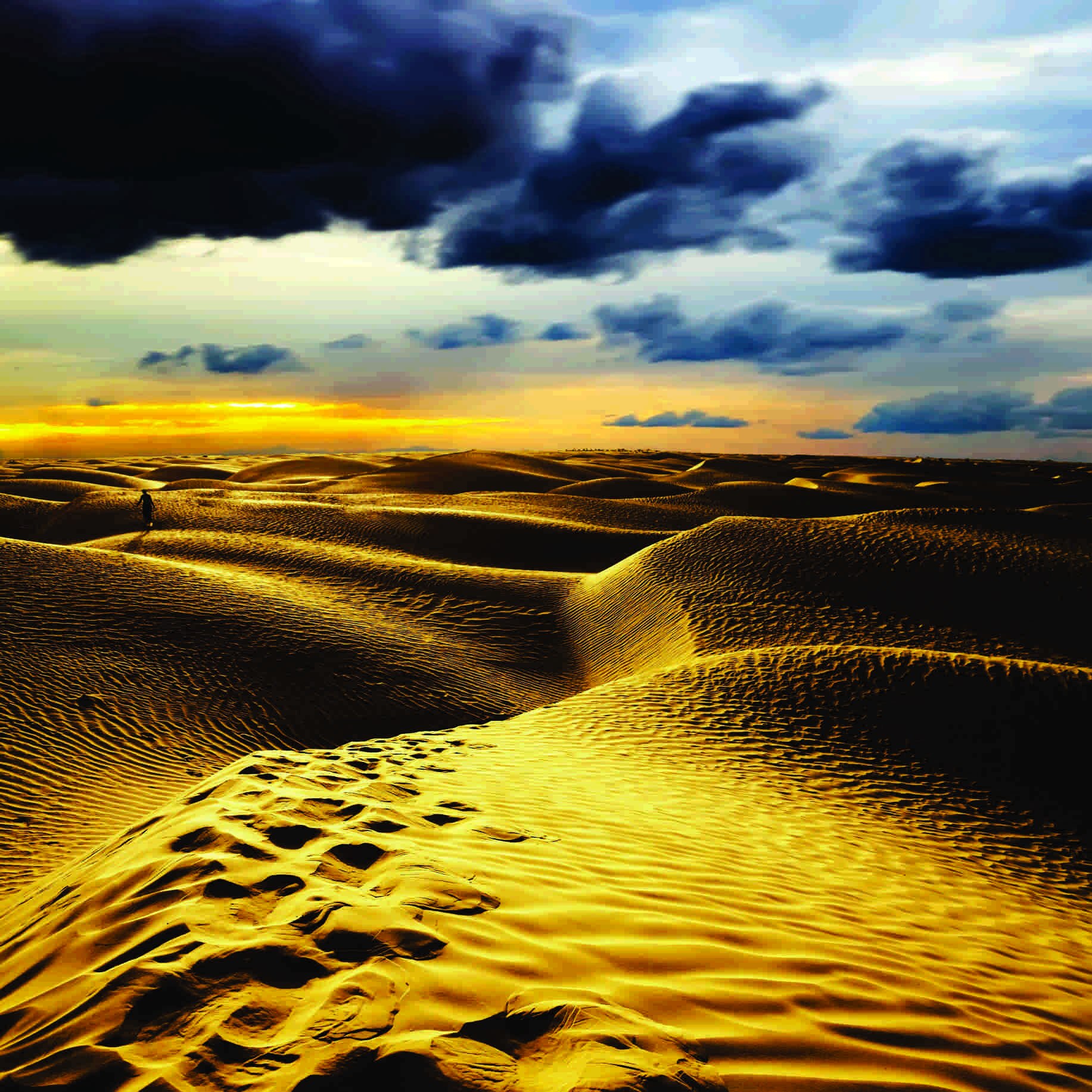 Fototapet Sahara , 150x150 cm