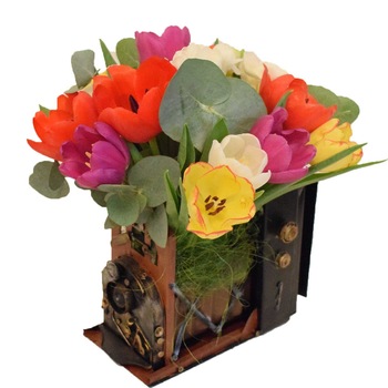 Aranjament cu lalele in aparata foto Vintage Aranjament cu lalele in aparata foto Vintage