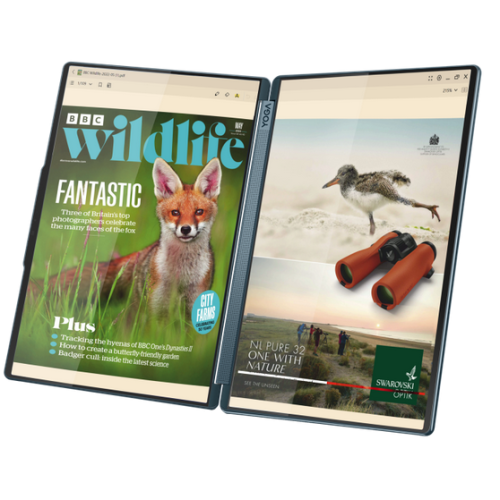 Laptop Lenovo Yoga Book 9i WQXGA+ 2x 14 inch Intel Core Ultra 7 255H 32GB 1TB SSD Windows 11 Home Tidal Teal