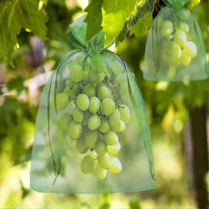 Sac de protectie pentru fructe din organza, pentru struguri, verde, set 200 buc, dimensiuni 30 x 20 cm / 23 x 17 cm
