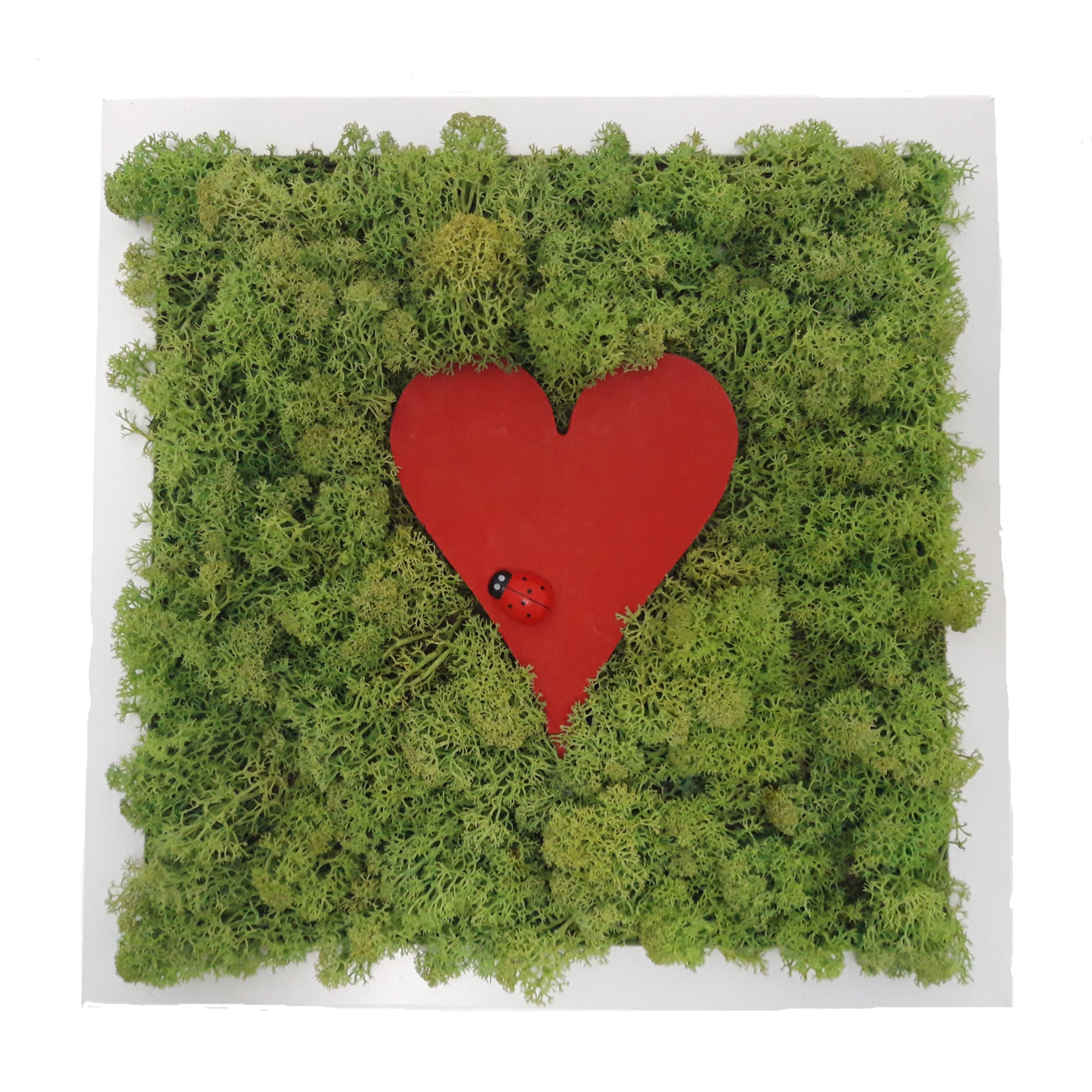 Tablou licheni naturali 