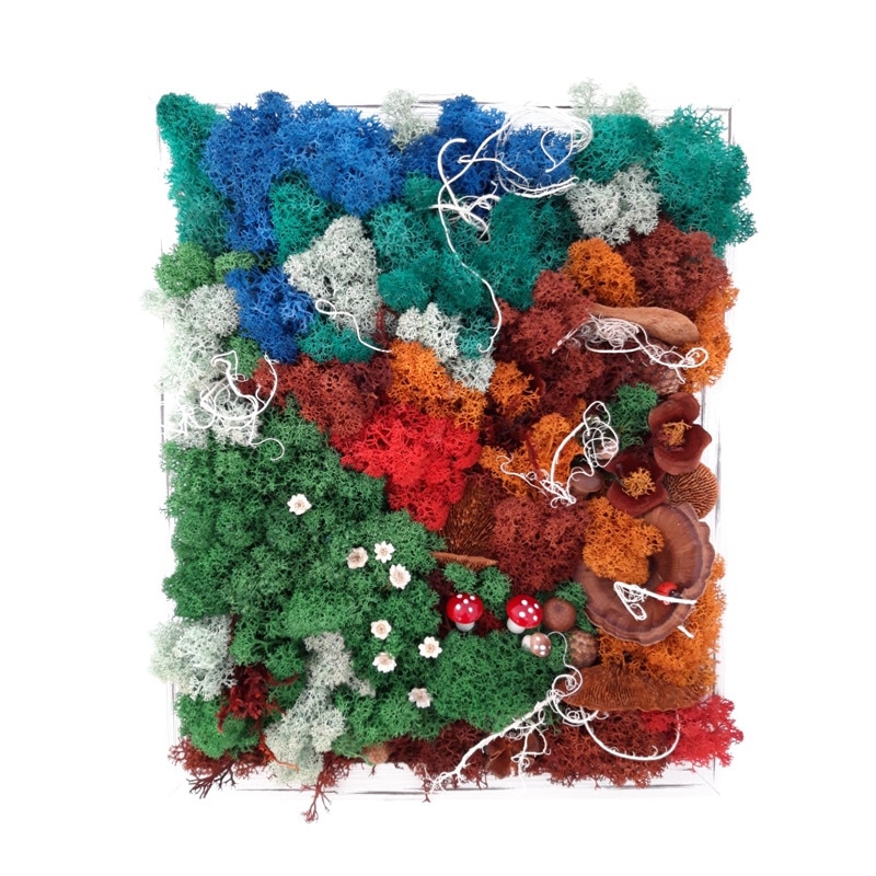 Tablou licheni 'Padurea fermecata' 33 x 27 cm