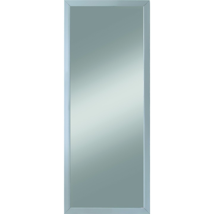 Oglinda cu rama PURO, argintiu, 60 x 40 cm