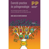 exercitii practice de psihogenealogie cum sa descoperi secretele de familie sa fii credincios stramosilor tai si sa iti alegi propria viata - anne ancelin schutzenberger imagen 0_0_0