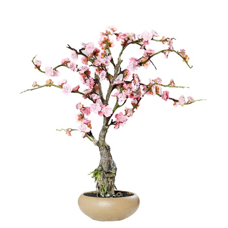 Bonsai Artificial De Cires Roz Crem In Ghiveci Ceramic 70 Cm Emag Ro