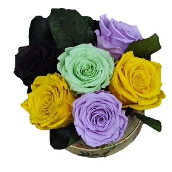 Aranjament cu 7 trandafiri criogenati in cutie rotunda, Magazinul de Trandafiri, Roz/Alb Aranjament cu 7 trandafiri criogenati in cutie rotunda, Magazinul de Trandafiri, Roz/Alb