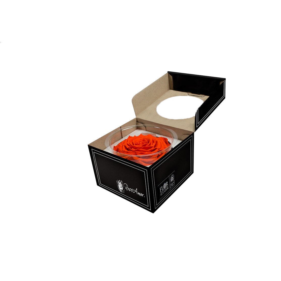 Trandafir criogenat XXL in cutie de cadou, Magazinul de Trandafiri, 7.5 cm