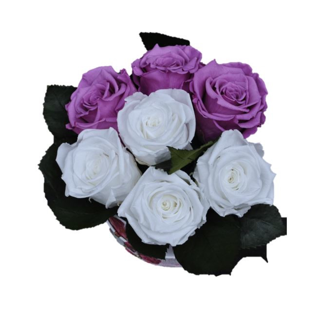 Aranjament cu 7 trandafiri criogenati in cutie rotunda, Magazinul de Trandafiri, 13 cm Aranjament cu 7 trandafiri criogenati in cutie rotunda, Magazinul de Trandafiri, 13 cm