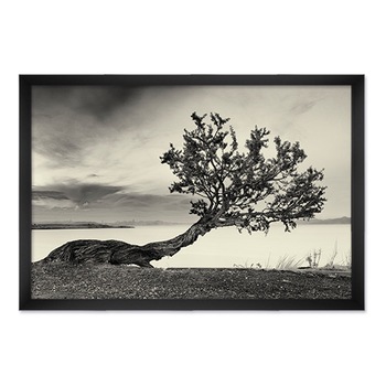 Tablou Inramat - Natura, Peisaj, Copac, Mare, Plaja, Alb/Negru, Rama Neagra, 60 x 90 cm Tablou Inramat - Natura, Peisaj, Copac, Mare, Plaja, Alb/Negru, Rama Neagra, 60 x 90 cm