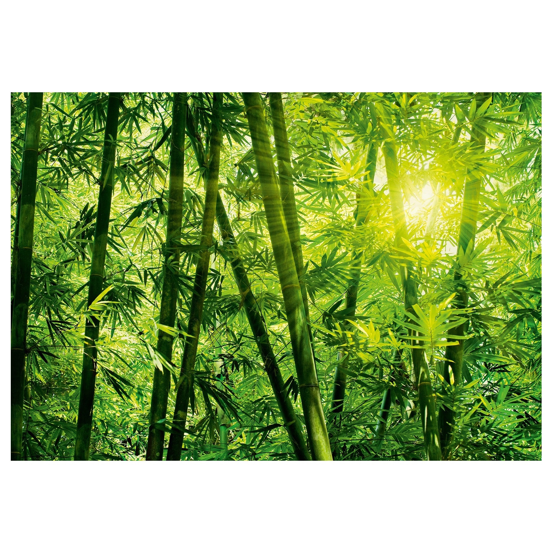 Fototapet , Categoria Deluxe , Gama Wall Murals , 8 piese , dimensiuni 366x254 cm , 00123