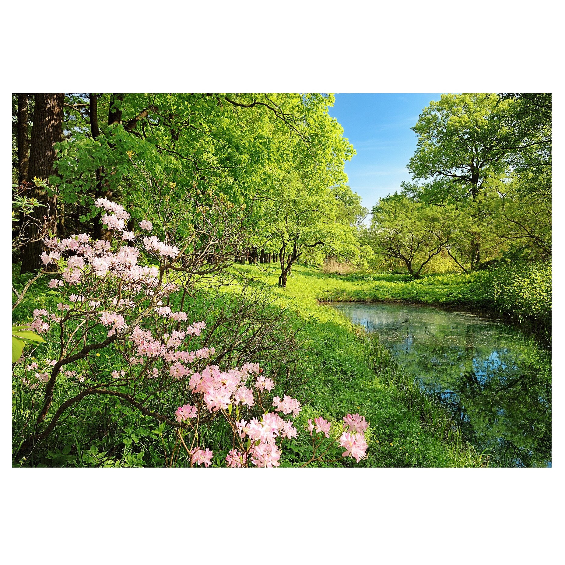 Fototapet , Categoria Deluxe , Gama Wall Murals , 8 piese , dimensiuni 366x254 cm , 00136