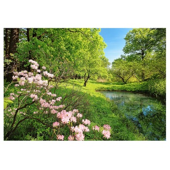 Fototapet , Categoria Deluxe , Gama Wall Murals , 8 piese , dimensiuni 366x254 cm , 00136 Fototapet , Categoria Deluxe , Gama Wall Murals , 8 piese , dimensiuni 366x254 cm , 00136