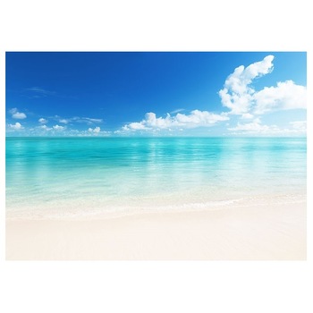 Fototapet , Categoria Deluxe , Gama Wall Murals , 8 piese , dimensiuni 366x254 cm , 00156 Fototapet , Categoria Deluxe , Gama Wall Murals , 8 piese , dimensiuni 366x254 cm , 00156