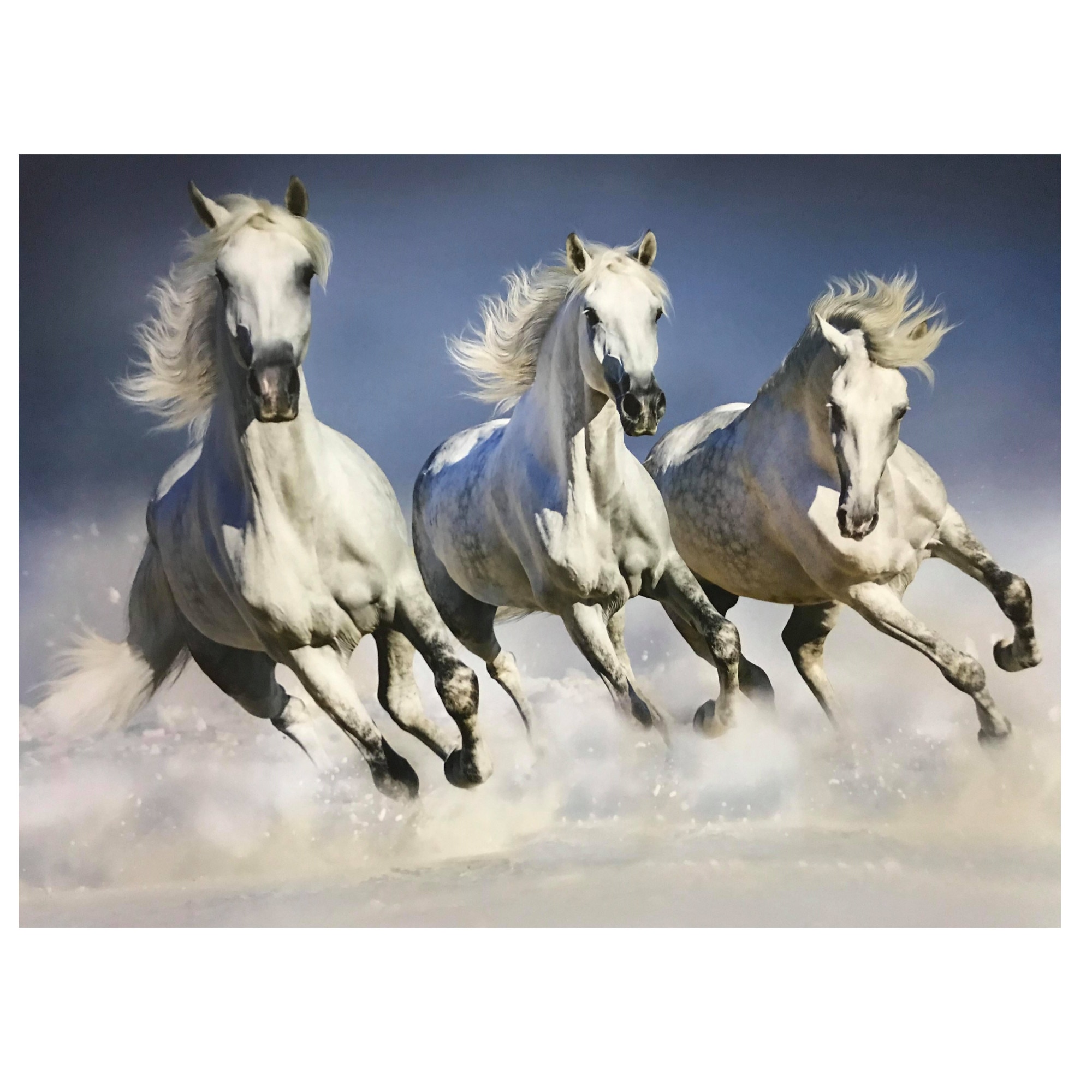 Fototapet , Categoria Deluxe , Gama Wall Murals , 8 piese , dimensiuni 366x254 cm , 00162