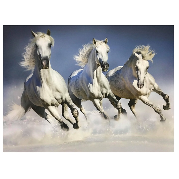 Fototapet , Categoria Deluxe , Gama Wall Murals , 8 piese , dimensiuni 366x254 cm , 00162