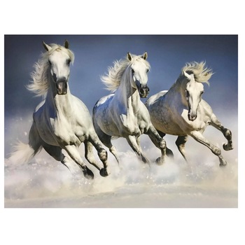 Fototapet , Categoria Deluxe , Gama Wall Murals , 8 piese , dimensiuni 366x254 cm , 00162 Fototapet , Categoria Deluxe , Gama Wall Murals , 8 piese , dimensiuni 366x254 cm , 00162