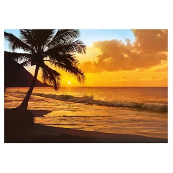 Fototapet , Categoria Deluxe , Gama Wall Murals , 8 piese , dimensiuni 366x254 cm , 00218 Fototapet , Categoria Deluxe , Gama Wall Murals , 8 piese , dimensiuni 366x254 cm , 00218