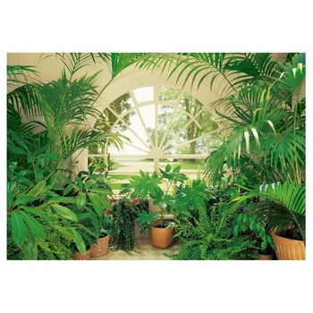 Fototapet , Categoria Deluxe , Gama Wall Murals , 8 piese , dimensiuni 366x254 cm , 00231 Fototapet , Categoria Deluxe , Gama Wall Murals , 8 piese , dimensiuni 366x254 cm , 00231