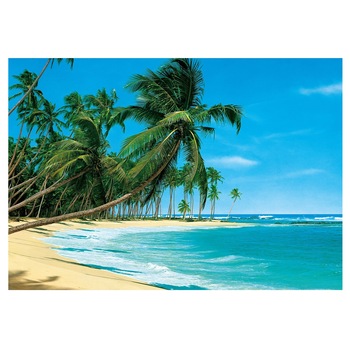 Fototapet , Categoria Deluxe , Gama Wall Murals , 8 piese , dimensiuni 366x254 cm , 00220 Fototapet , Categoria Deluxe , Gama Wall Murals , 8 piese , dimensiuni 366x254 cm , 00220