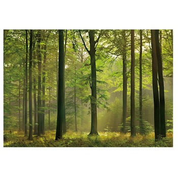 Fototapet , Categoria Deluxe , Gama Wall Murals , 8 piese , dimensiuni 366x254 cm , 00216 Fototapet , Categoria Deluxe , Gama Wall Murals , 8 piese , dimensiuni 366x254 cm , 00216